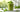 Wheatgrass & Spirulina Powders: Tiny Greens with Mighty Benefits