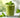 Wheatgrass & Spirulina Powders: Tiny Greens with Mighty Benefits