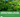 🌿 Why Moringa and Why India?