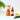 Moringa Oil