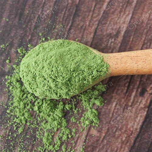 Best Moringa Powder Brand In India For 2025