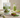how much moringa powder should i take daily