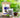 How to Make a Quick Lemon Chia Drink at Home?