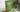 Moringa Soup Mix Benefits – The Healthy Comfort in a Bowl!