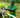Moringa: The Root of Grenera’s Global Wellness Mission