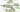 Moringa Capsules: Your Daily Dose of Wellness