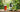 What is Noni Juice? A Complete Guide to Grenera Organics Noni Juice