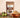 How to Use Grenera Organics Triphala Powder in Everyday Life?