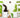 Moringa Tea vs Moringa Powder: Which One Fits Your Daily Routine?