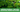 🌿 Why Moringa and Why India?