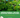 🌿 Why Moringa and Why India?