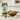 Moringa Noodles