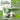 Moringa Tablets