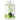 Wheatgrass Tablets